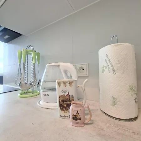 Lidicka * カルロヴィ・ヴァリ