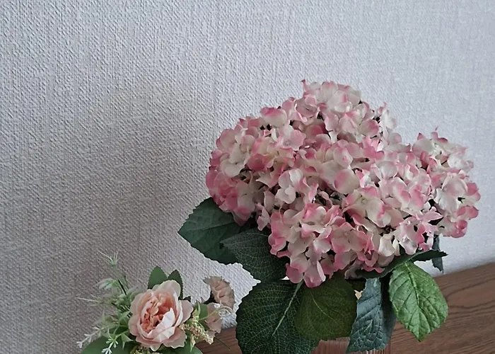 Lidicka アパート カルロヴィ・ヴァリ